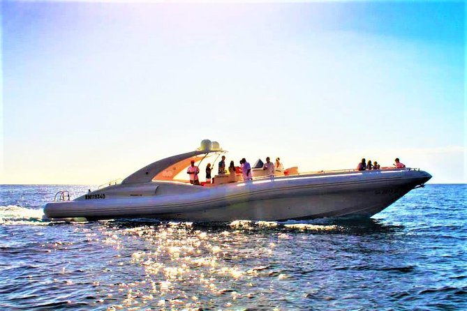 The Worlds Largest RIB Luxury 3hrs Including Lunch and Drinks - Whale and Dolphin Watching Cruise