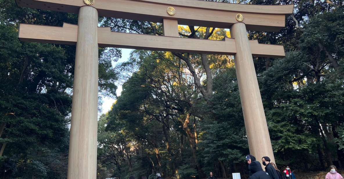 Tokyo Harajuku Meiji Jingu Shrine 1h Walking Tour - Experience Highlights