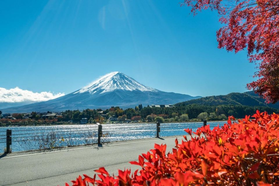 Tokyo: Mt Fuji Area, Lake Ashi, Owakudani, Onsen 1-Day Tour - Full Itinerary