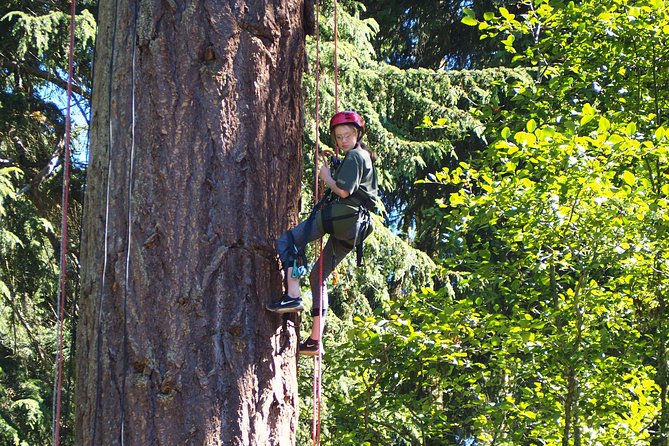 Tree Canopy Climbing on Lopez Island - Safety Information