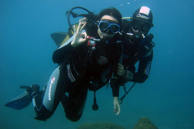 Try Scuba Diving in a Turtle Area (Boat) - Activity Details and Inclusions