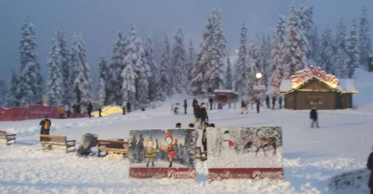 Vancouver Capilano Canyon Light&Peak of Christmas in Grouse - Booking Information