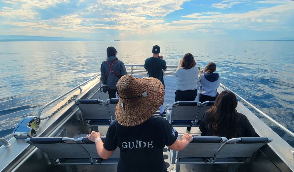 Vancouver Island: People Water Land - Indigenous & Whales - Whale Watching Experience in Salish Sea