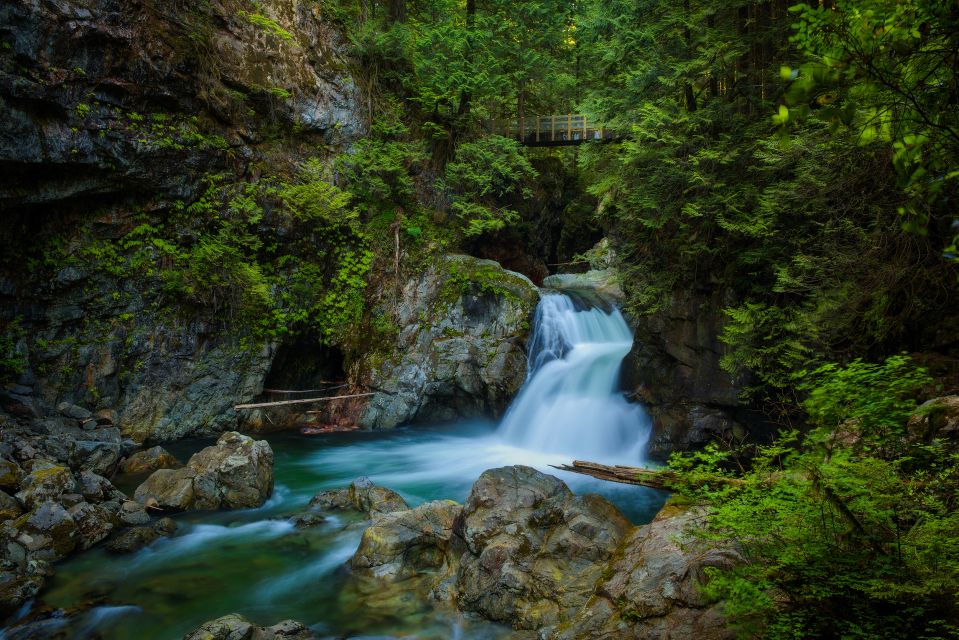 Vancouver: Lynn Valley Suspension Bridge & Nature Walk Tour - Pricing and Duration Information
