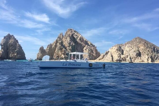 Whale Watching Tour in Los Cabos - Traveler Experience