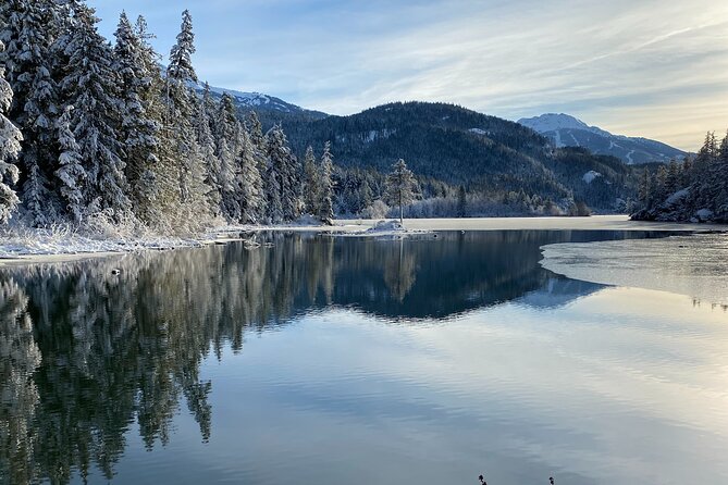 Whistler Half-Day Mountain Bike Tour - Guide and Group Size