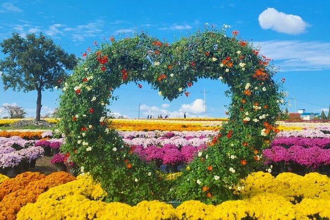 Yeoncheon Chrysanthemum Festival - Pyeongtaek Departure - Meeting and Pickup Details