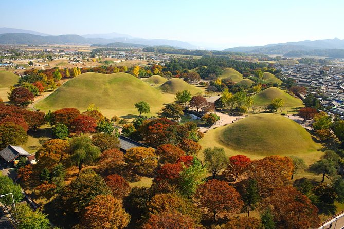 3DAY Private Tour From Busan to Seoul With Gyeongju UNESCO World Heritage Sites - Getting Ready for the Tour