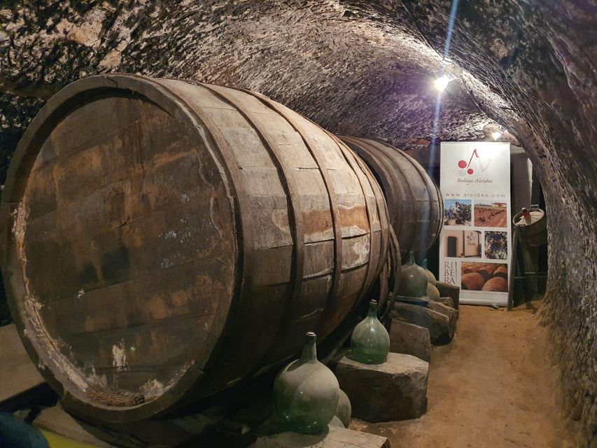 4 Wineries, Comprehensive Ribera Del Duero Winetour - Winery 3: Wine Bar Experience 1