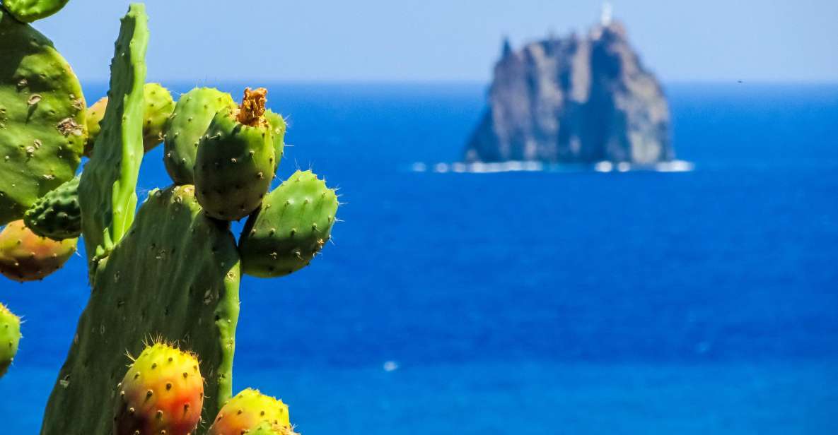 Aeolian Islands: 8-Day Excursion Tour and Hotel Accomodation - Accommodation and Inclusions