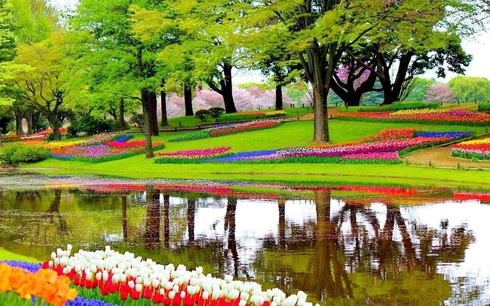 Amsterdam: Private Sightseeing Tour to Keukenhof - Location & Accessibility