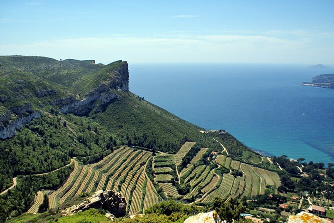 Bandol Wine Tour - 4 Hour Private Tour - Private Tour Benefits