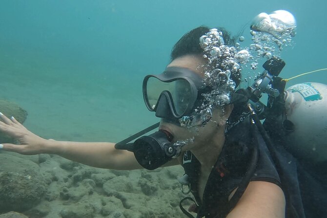 Beginner Scuba Diving Tour With Videos-Pcb - Cancellation Policy