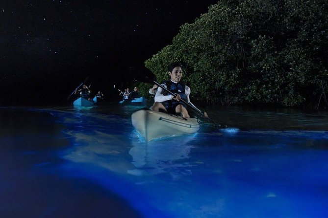 Bioluminescent Kayak Tour. Fin Expeditions Is Cocoa Beaches Top Rated Kayak Tour - Reviews and Ratings