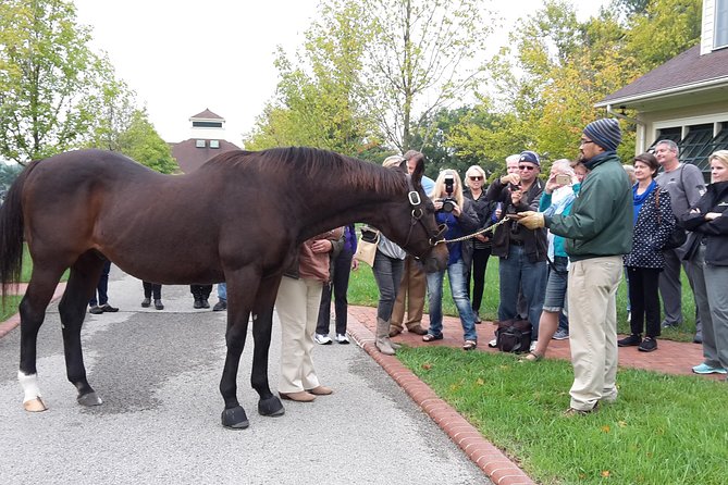 Bourbon Distillery & Horse Farm Tours - Tour Guides