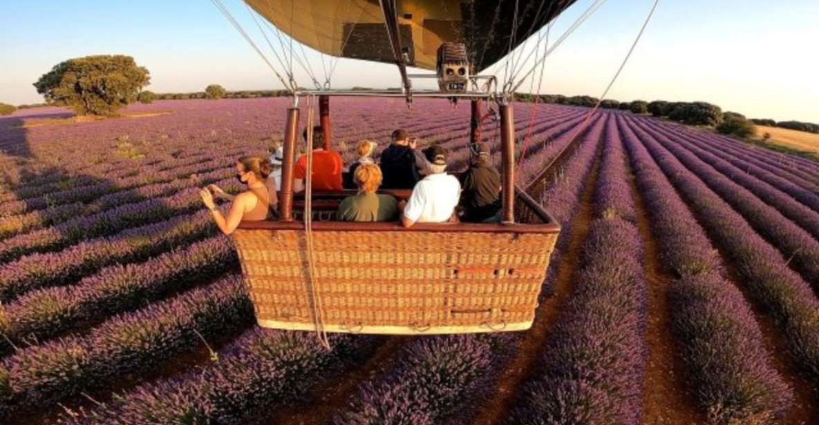 Brihuega: Balloon Flight Above Lavender Fields - Experience Highlights