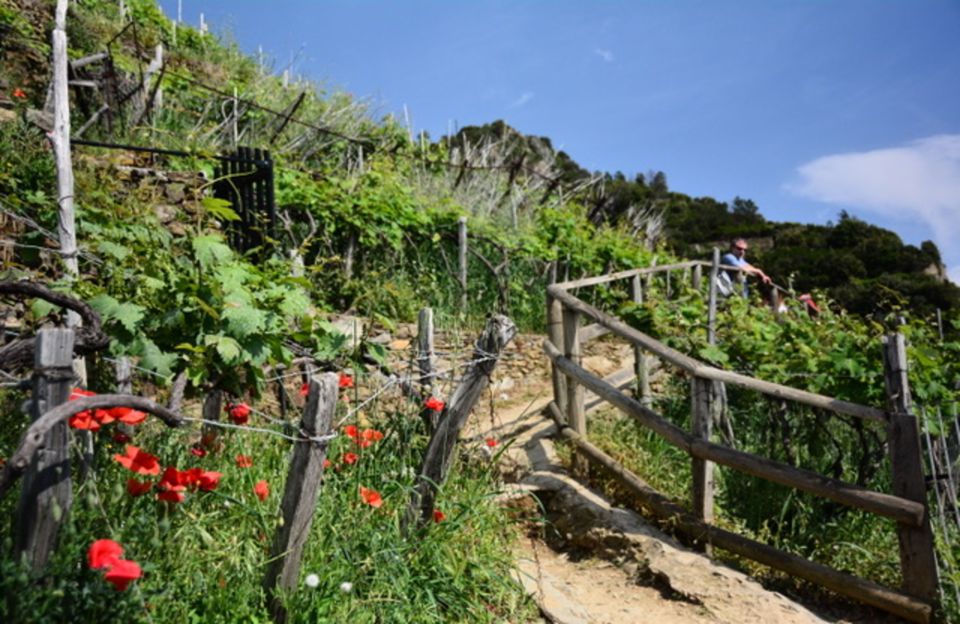 Cinque Terre: Private Day Trip From Florence With Lunch - Itinerary