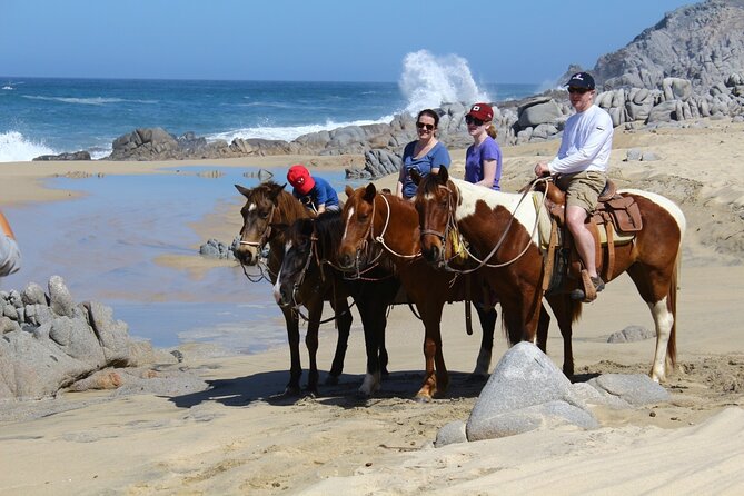 Combo Horseback Beach Ride & ATV Adventure in Los Cabos - Customer Reviews and Tour Highlights