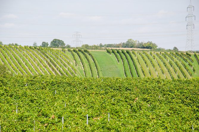 Countryside Half Day Wine Tour Near Vienna - Group Size