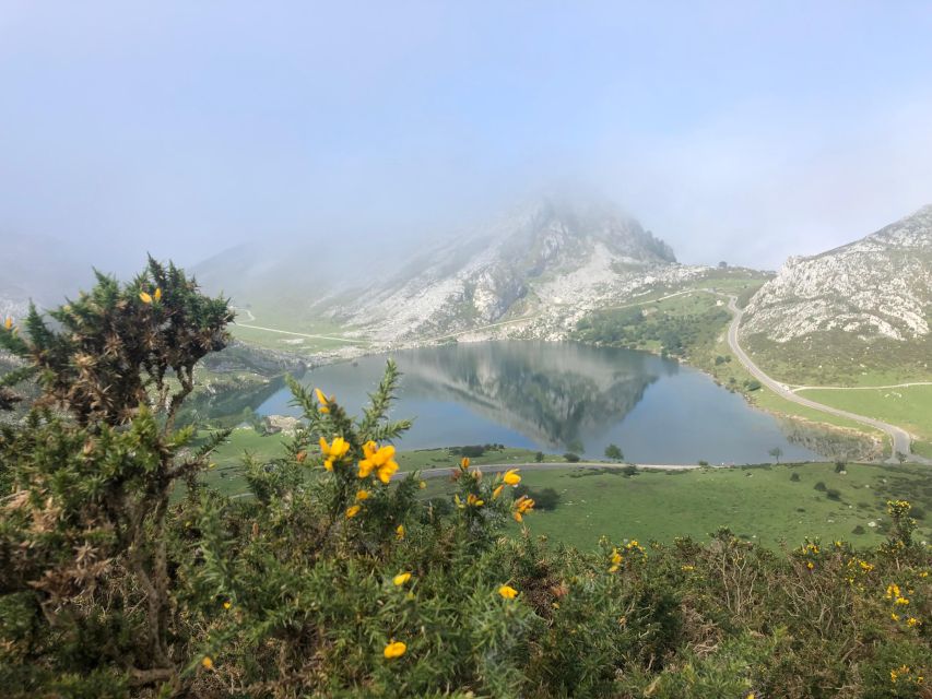 Covadonga and Lakes and Occidental Coast Private Tour - Highlights