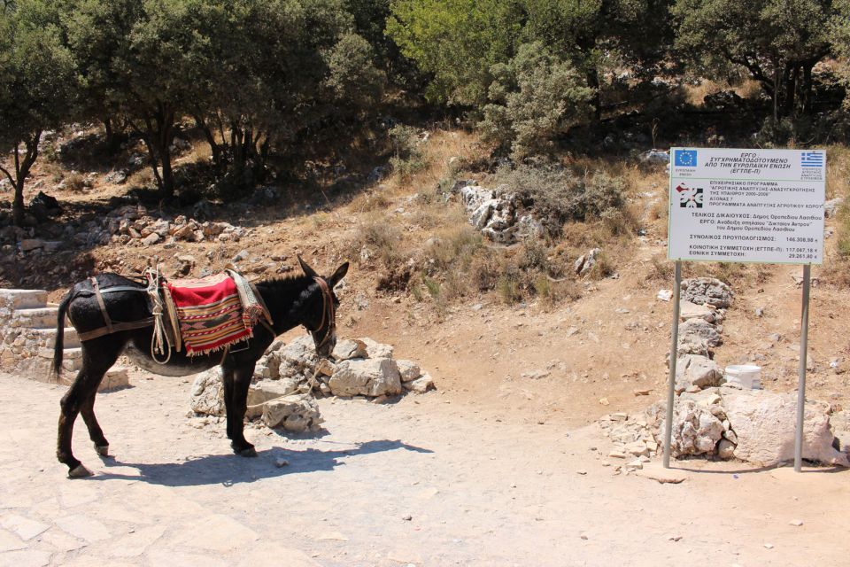 Crete: Land Rover Safari Through the Plateaus - Cancellation Policy