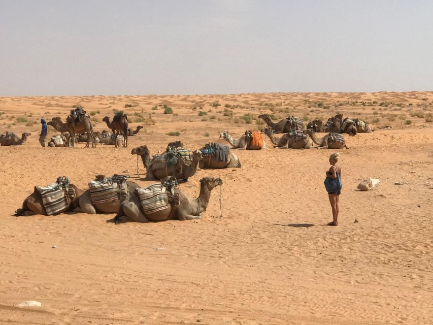 Day Trip to Desert to Ksar Ghilane From Djerba or Zarzis - Inclusions and Exclusions