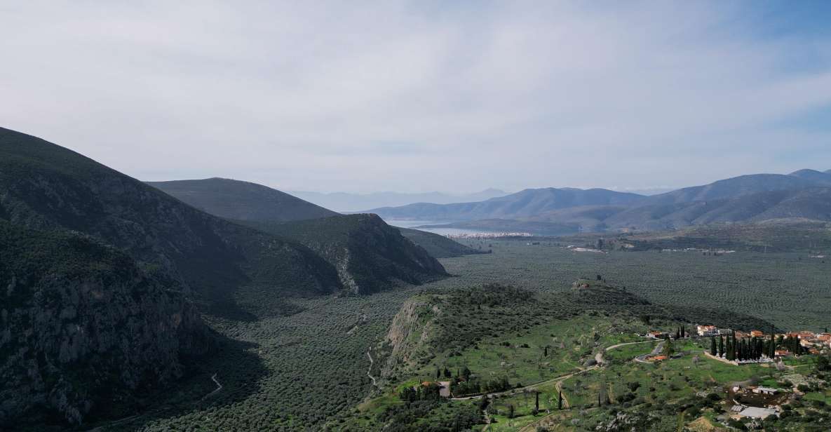Delphi: Easy Hike on Ancient Path Through the Olive Groves - Live Tour Guide