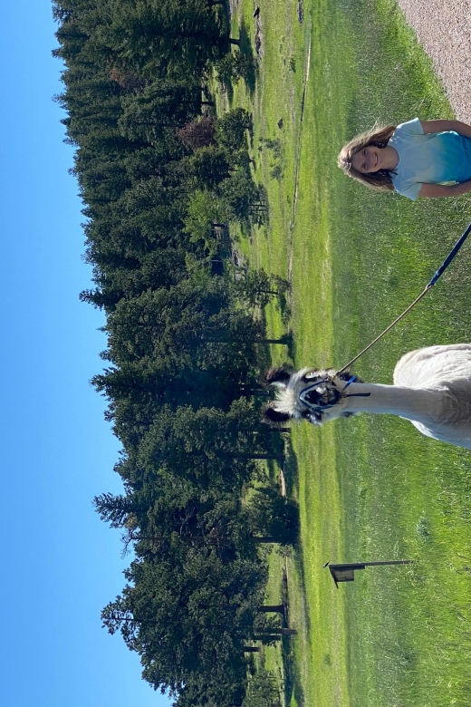 Denver: Llama Hike in the Rocky Mountains - Details & Requirements