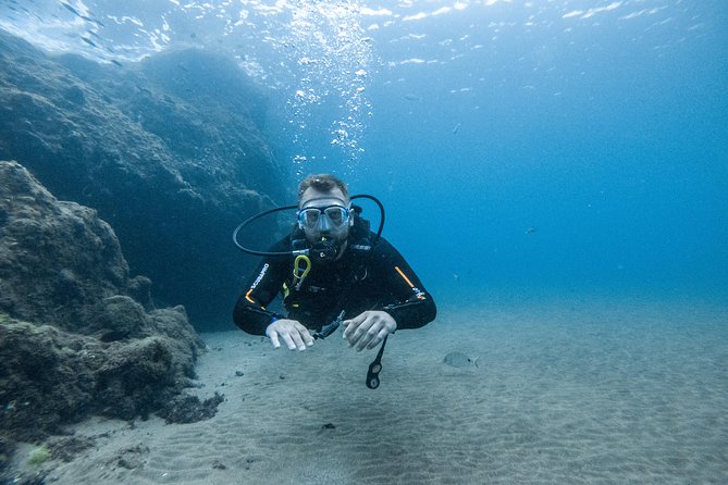 Discover the Underwater World of Lanzarote - Reviews and Highlights