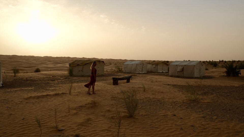 Djerba: 1-Night Desert Tent Safari - Languages & Group Size
