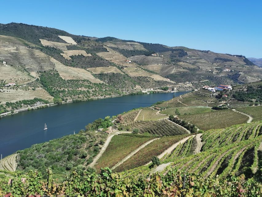 Douro Exclusive: The Full Tour! - Detailed Itinerary and Stops