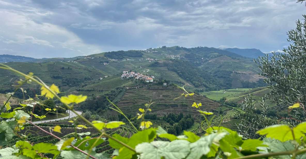Douro Valley Tour - Activity Highlights and Itinerary