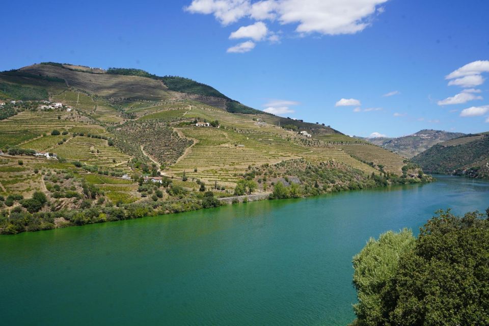 Douro: Wine Tasting and River Cruise Experience - Full Description