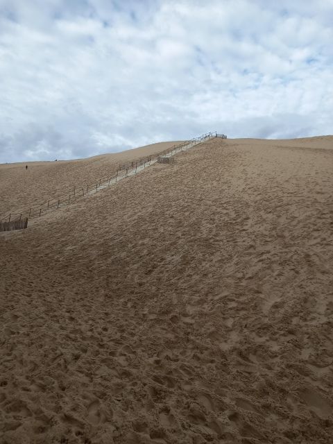 Dune Du Pilat and Oysters Tasting ! What Else ? - Customer Experience