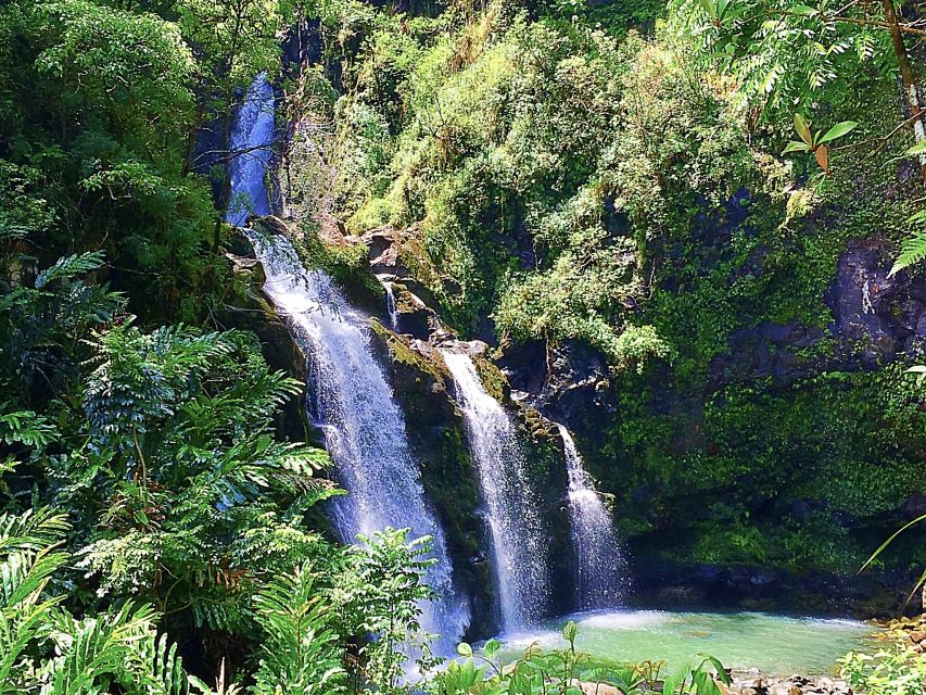 East Maui: Private Rainforest or Road to Hana Loop Tour - Additional Highlights