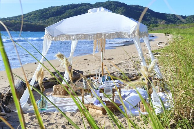 Experience a Luxurious and Unique Beach Picnic Near Tamarindo - Logistics and Meeting Point Details