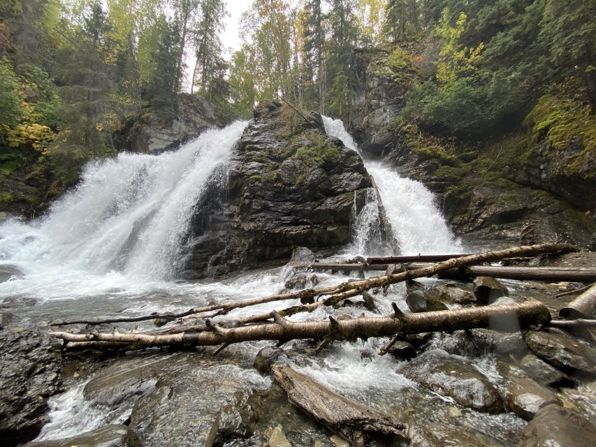 From Anchorage: Valley and Forest Hike With Naturalist Guide - Full Description