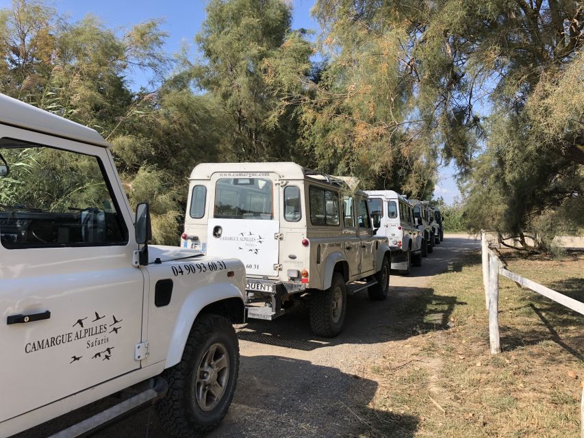 From Arles: Half-Day 4x4 Camargue Safari - Full Description