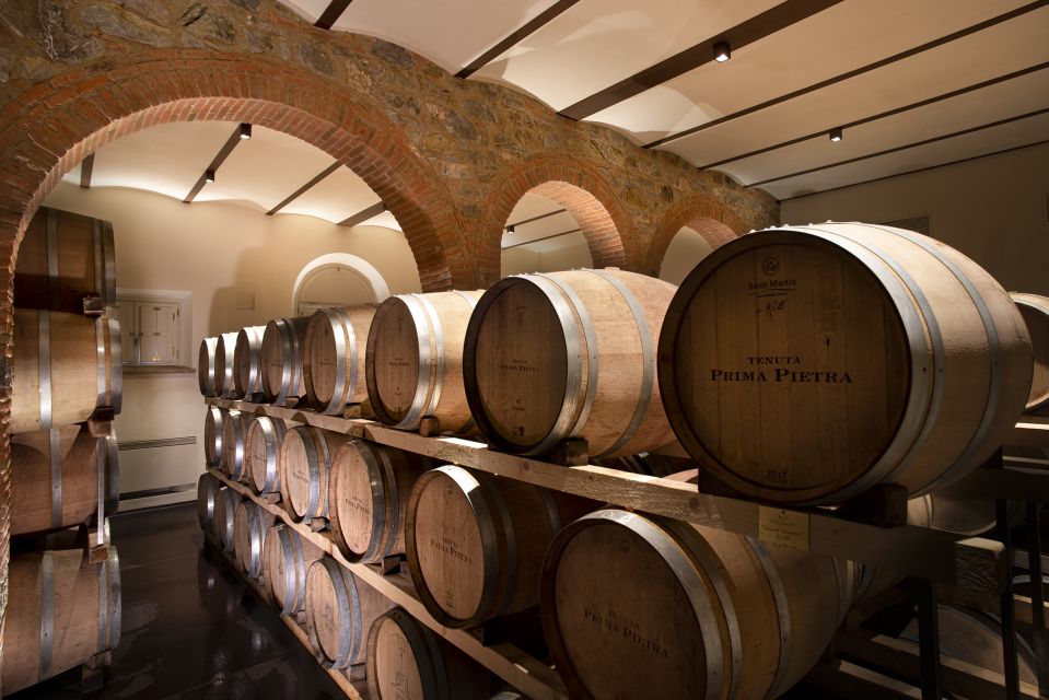 From Florence PRIVATE: Bolgheri Wine Tour With Tasting - Full Description