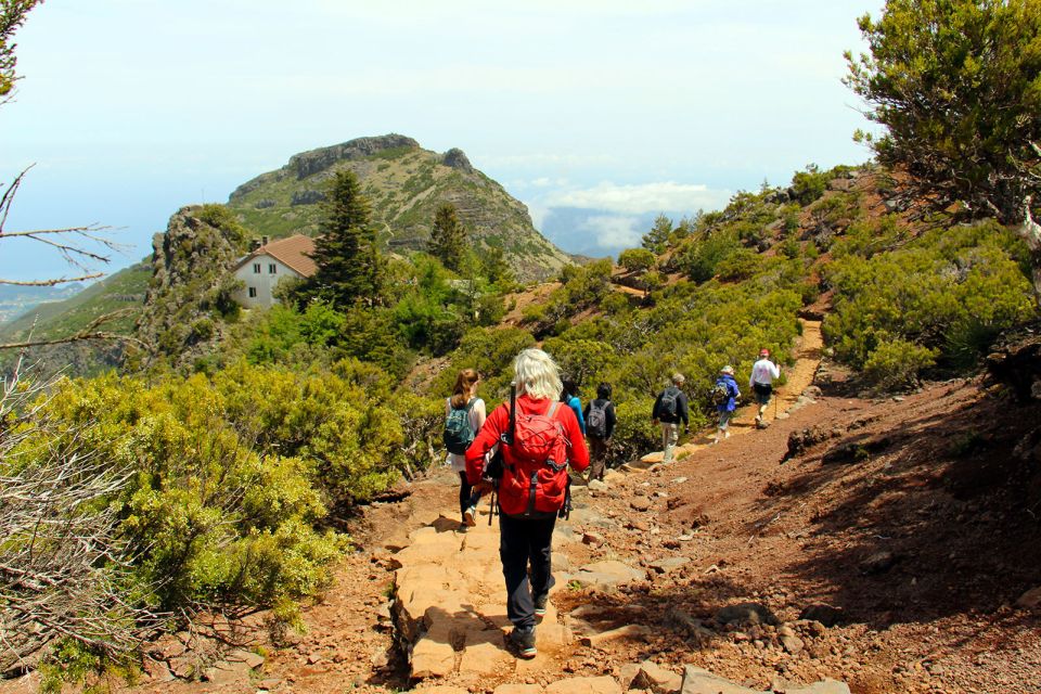 From Funchal: Madeira Peaks Mountain Walk - Customer Reviews