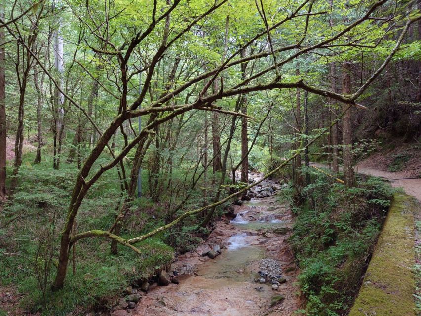 From Matsumoto/Nagano: Nakasendo Trail Walking Tour - Customer Review