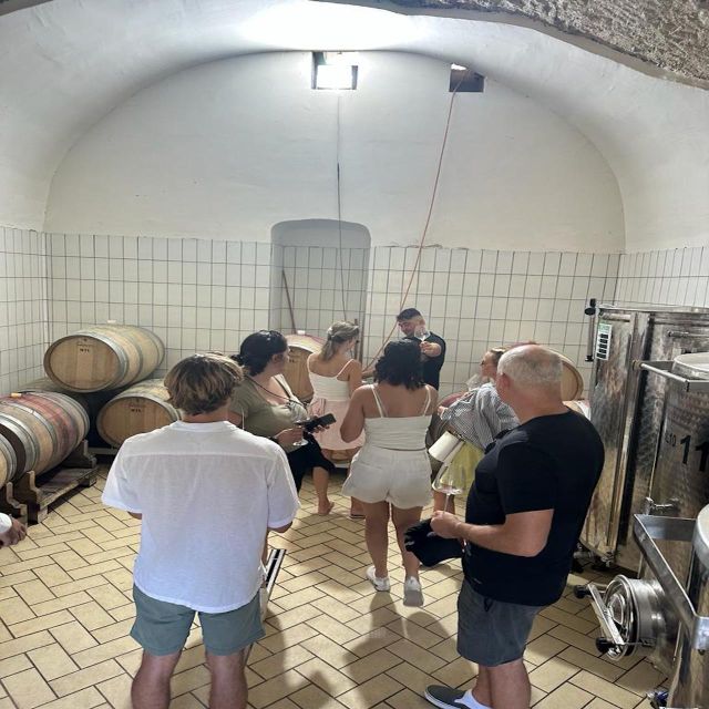 From Napoli: Private Luxury Tour Pompei ,Winery - Activity Overview