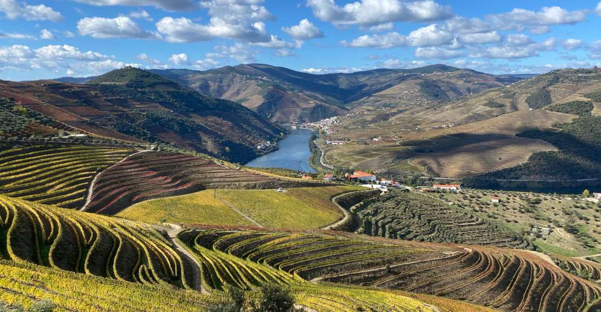 From Porto: Private Douro Valley Tour and Boat Cruise - Tour Highlights