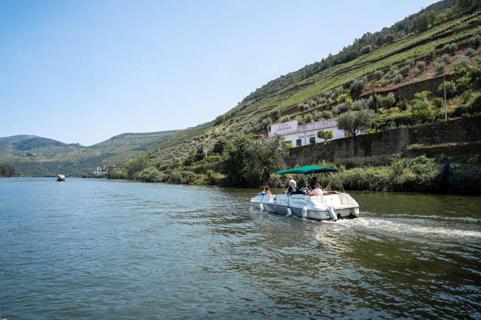From Porto: Savor the Wine of the Douro Valley With Lunch - Highlights