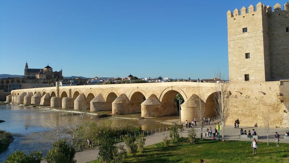 From Seville: Córdoba Private Day Trip - Experience Highlights