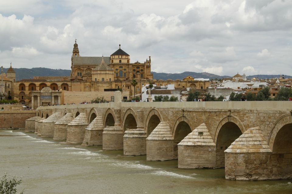 From Seville: Full-Day Cordoba Private Tour - Highlights