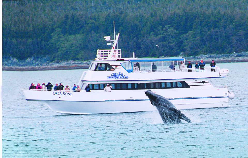 From Seward: Half-Day Resurrection Bay Wildlife Cruise Tour - Inclusions in the Tour Package