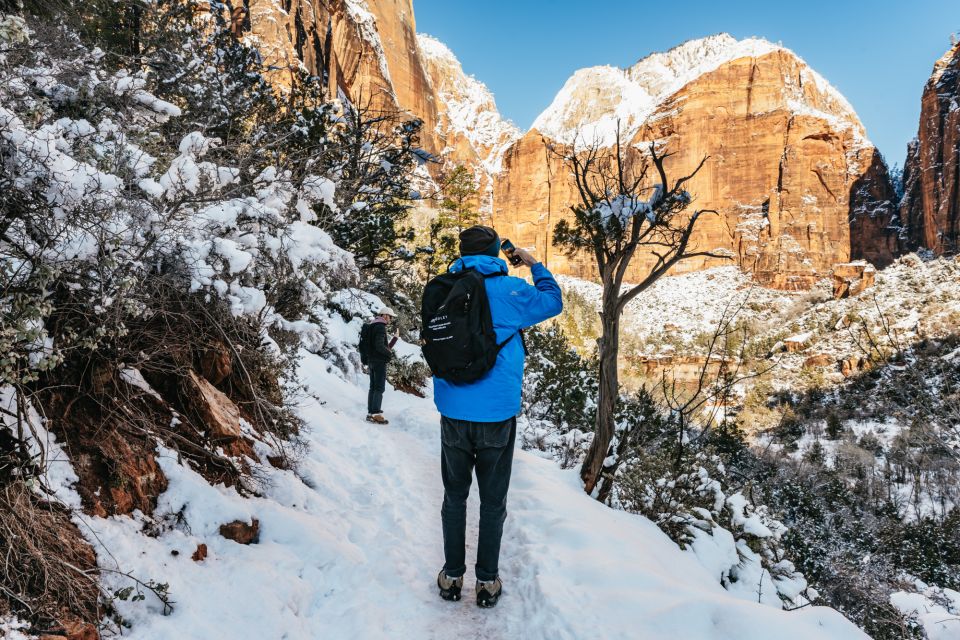 From Springdale: 4-hour Zion Canyon Scenic Hiking Tour - Highlights of the Experience