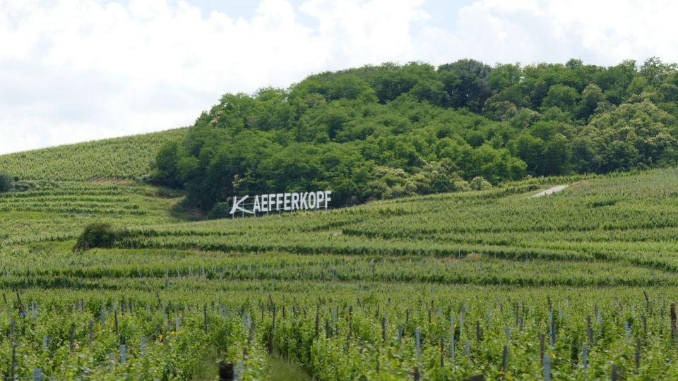 From Strasbourg: Best Of Alsace Historical Day Trip - Inclusions