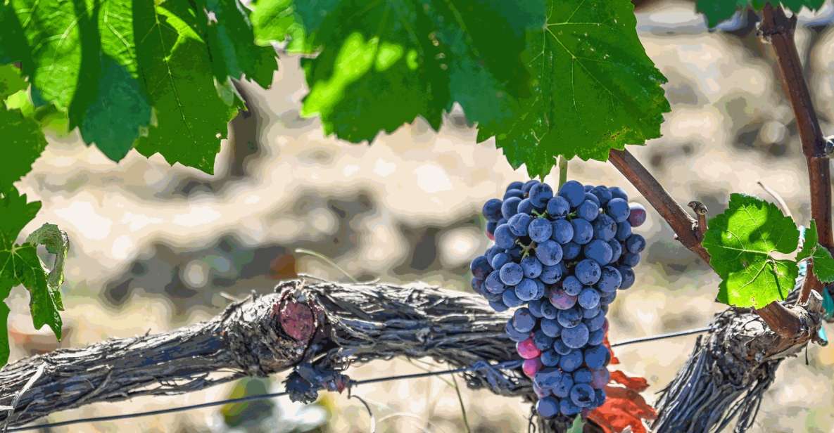 From Thessaloniki: Pella-Edessa Wine Tasting - Inclusions
